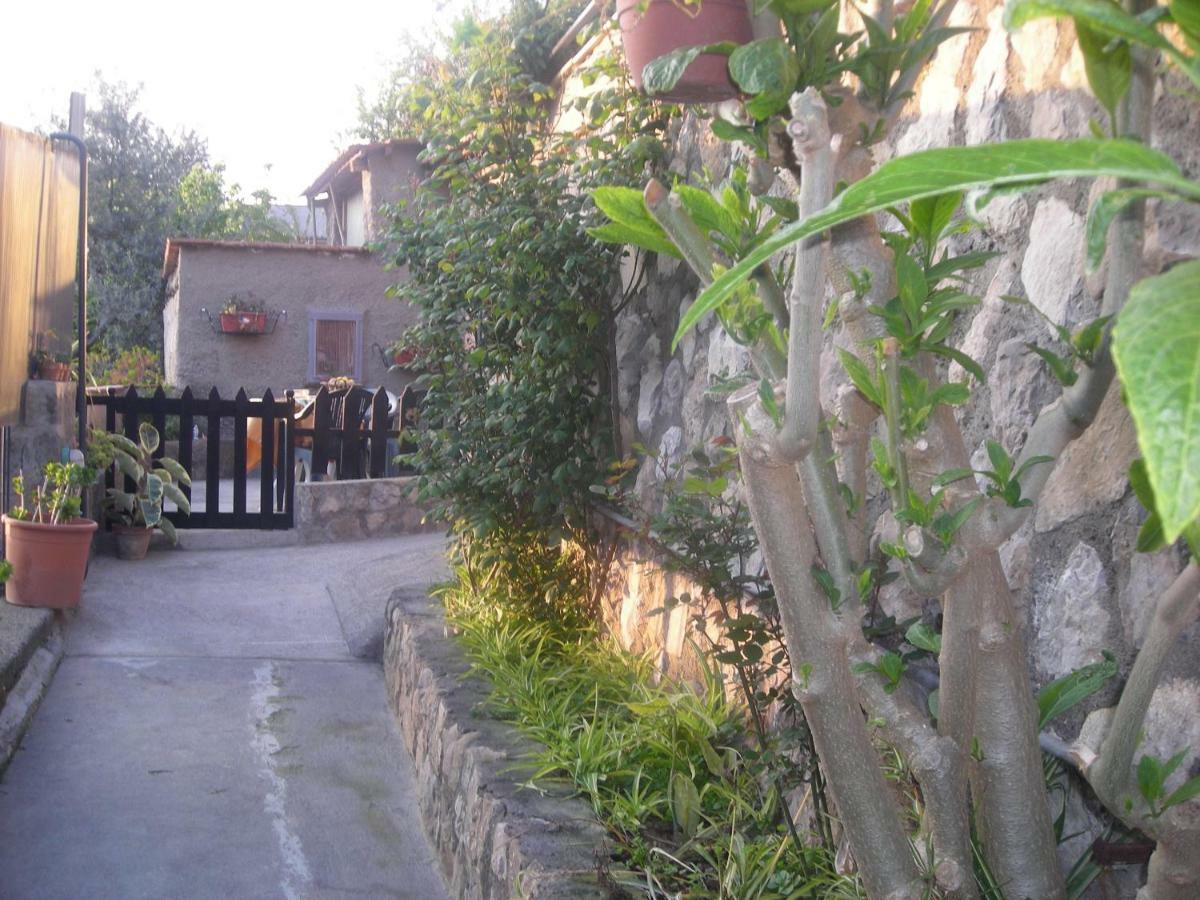 B&B L'Arcobaleno Сорренто Екстер'єр фото